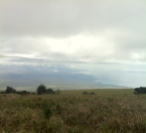 The view from up Kohala Mountain